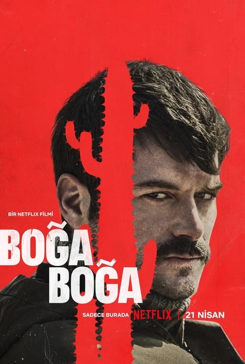 Boğa Boğa (2023)