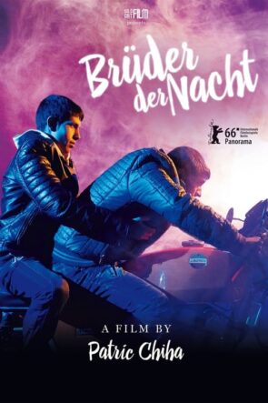 Brüder der Nacht (2016)