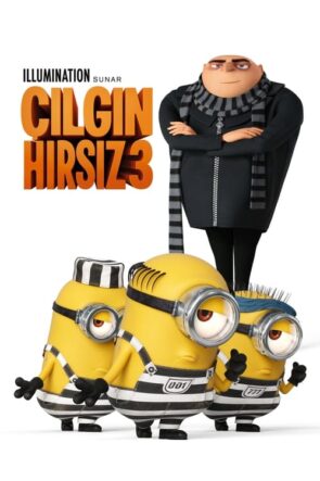 Çılgın Hırsız 3 (2017)