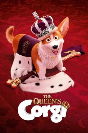 Corgi (2019)