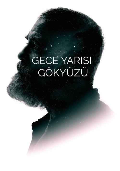 Gece Yarısı Gökyüzü (2020)