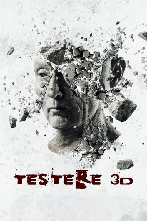 Testere 3D (2010)